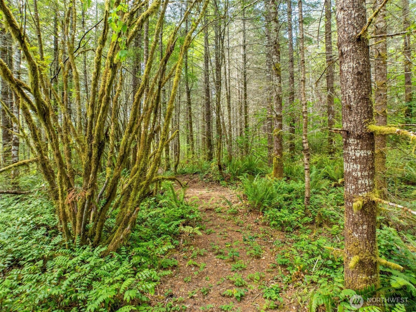 0 Lincoln Creek Road , Rochester, WA 98579