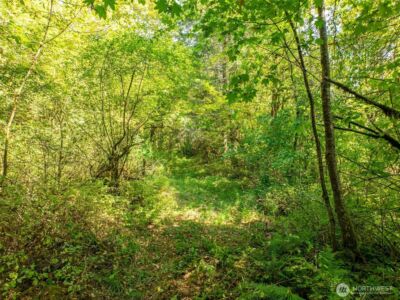 0 Lincoln Creek Road , Rochester, WA 98579 - Photo 11