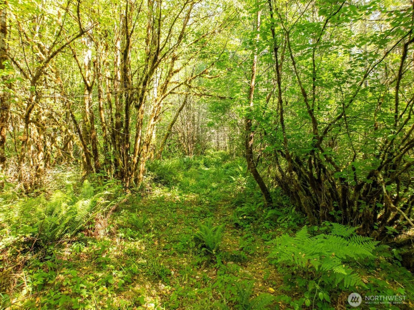 0 Lincoln Creek Road , Rochester, WA 98579