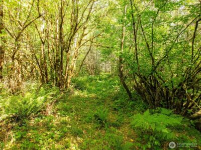 0 Lincoln Creek Road , Rochester, WA 98579 - Photo 12