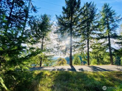 0 Lincoln Creek Road , Rochester, WA 98579 - Photo 2