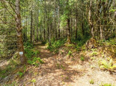 0 Lincoln Creek Road , Rochester, WA 98579 - Photo 4