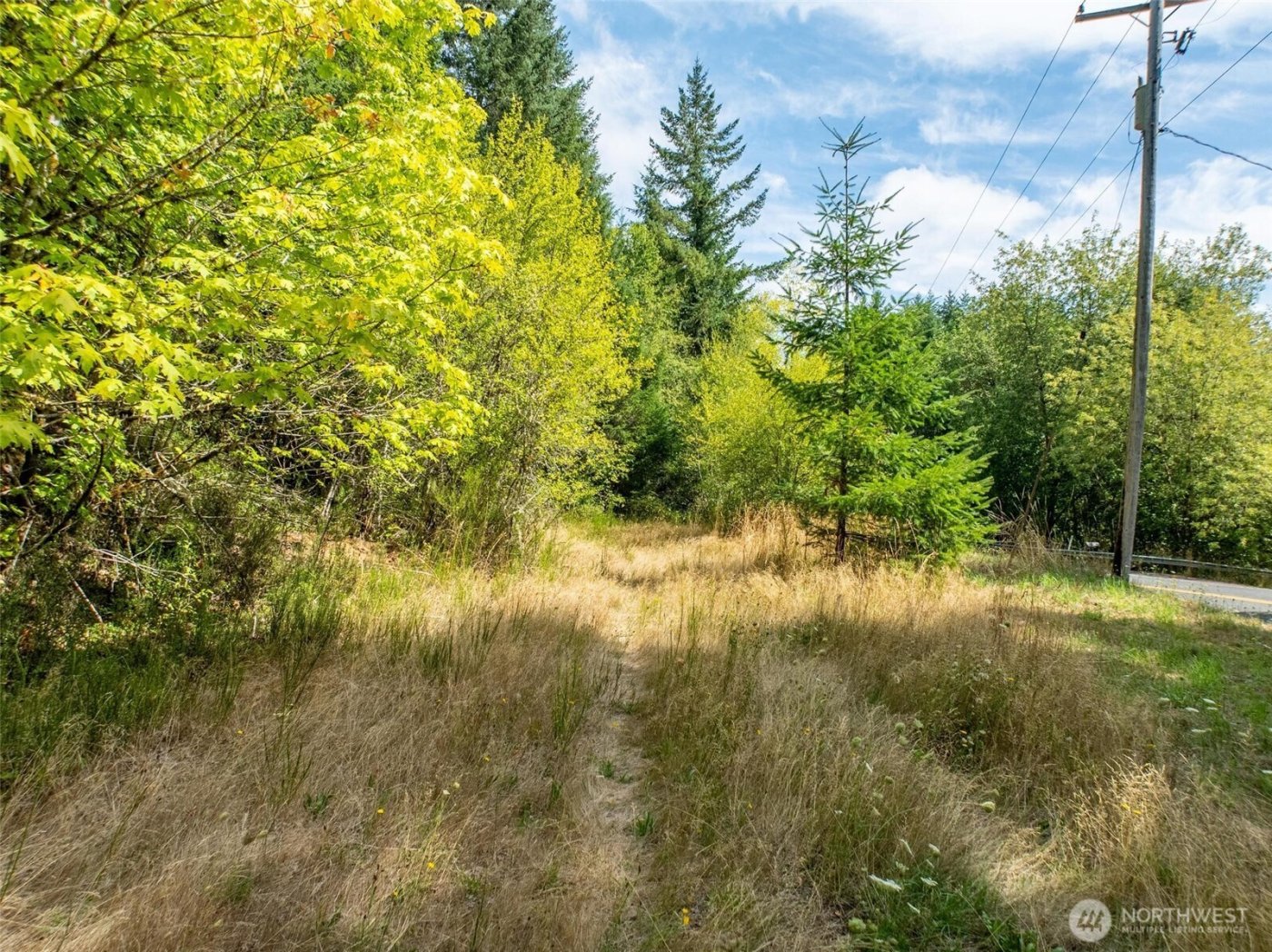 0 Lincoln Creek Road , Rochester, WA 98579