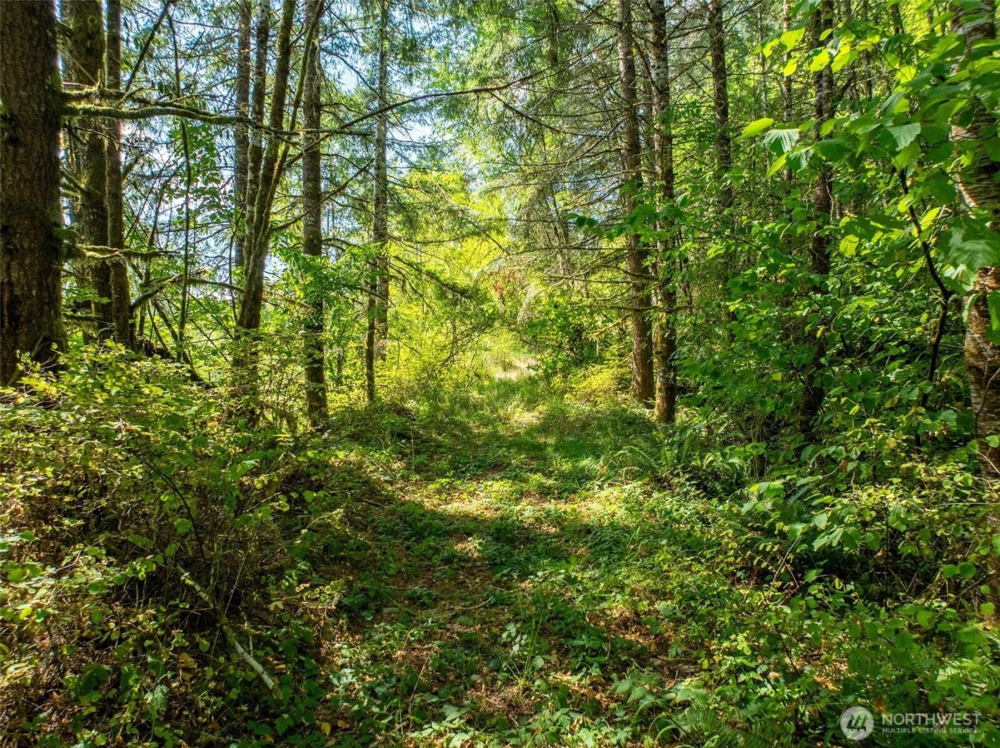 0 Lincoln Creek Road , Rochester, WA 98579