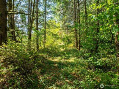 0 Lincoln Creek Road , Rochester, WA 98579 - Photo 8