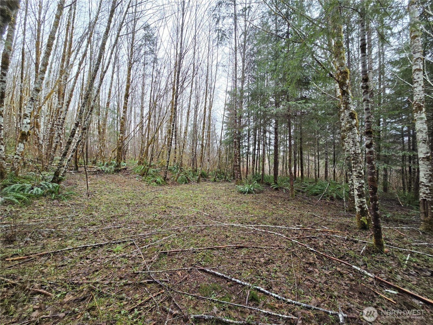 0 Lot 4 W Elk Hill Road , Elma, WA 98541