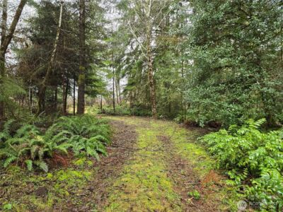 0 Lot 1&2 W Elk Hill Road , Elma, WA 98541 - Photo 1
