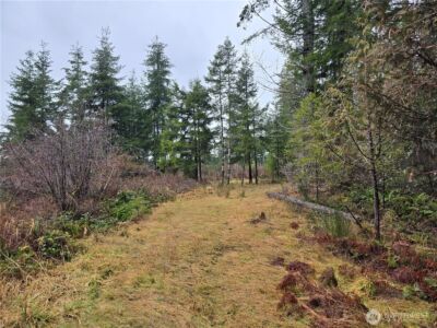 0 Lot 1&2 W Elk Hill Road , Elma, WA 98541 - Photo 5