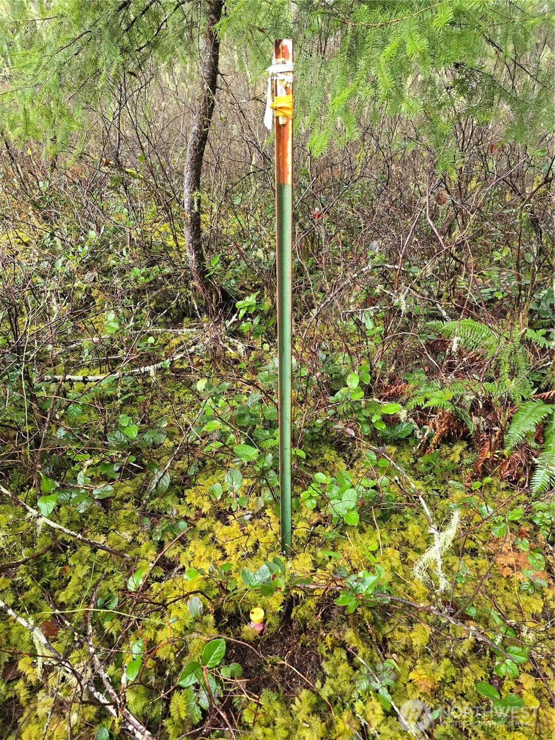 0 Lot 1&2 W Elk Hill Road , Elma, WA 98541