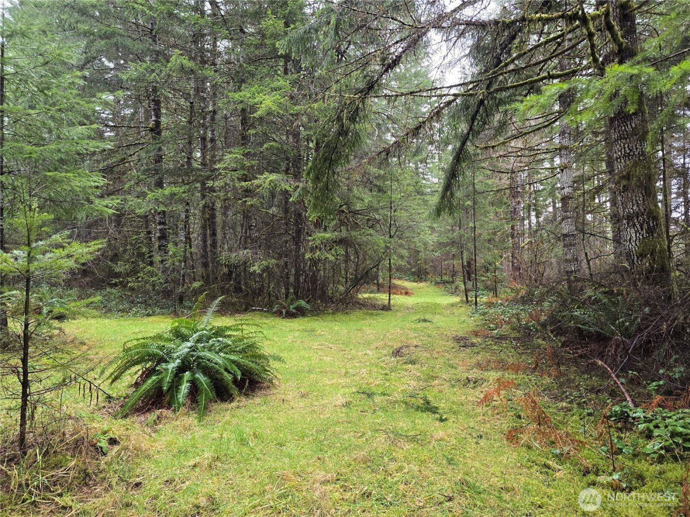 0 Lot 1&2 W Elk Hill Road , Elma, WA 98541