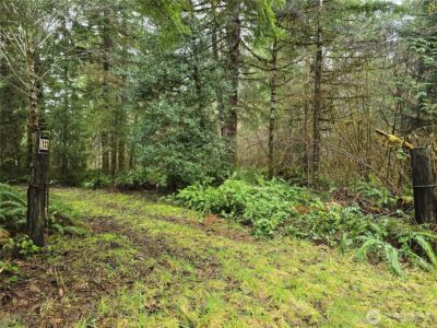 0 Lot 1&2 W Elk Hill Road , Elma, WA 98541 - Photo 9