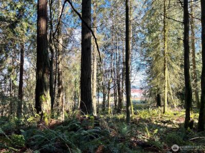 9999 S Sequim Ave Parcel B , Sequim, WA 98382 - Photo 11