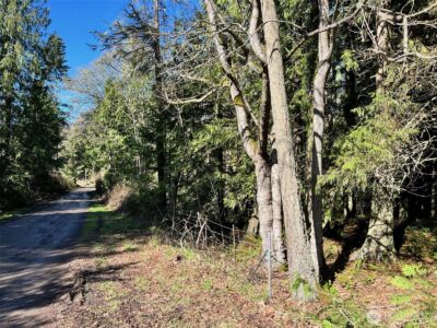 9999 S Sequim Ave Parcel B , Sequim, WA 98382 - Photo 7