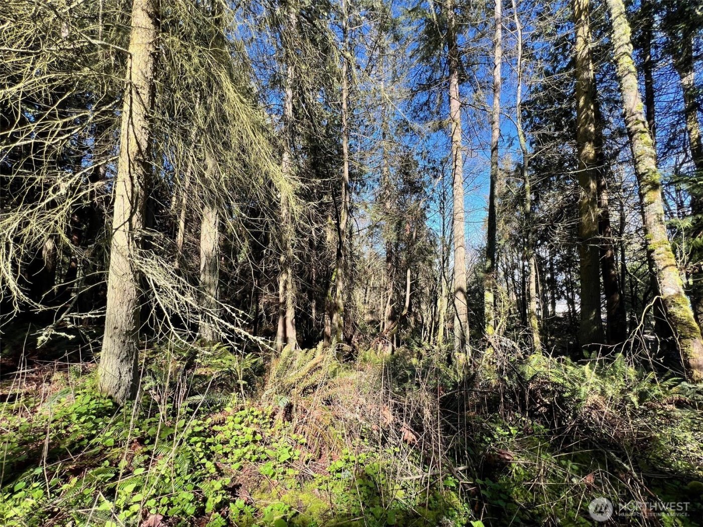 9999 S Sequim Ave Parcel B , Sequim, WA 98382