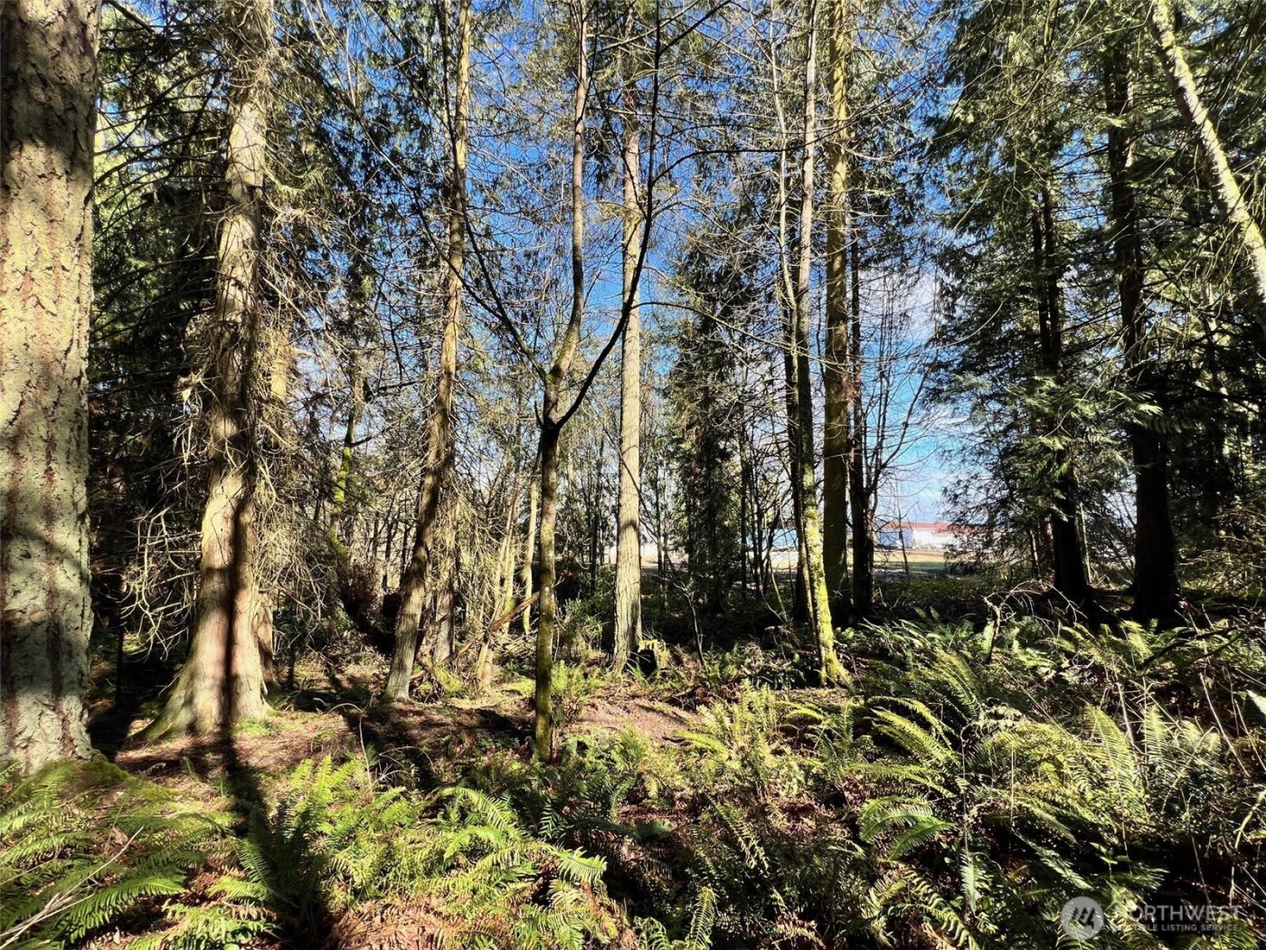 9999 S Sequim Ave Parcel B , Sequim, WA 98382