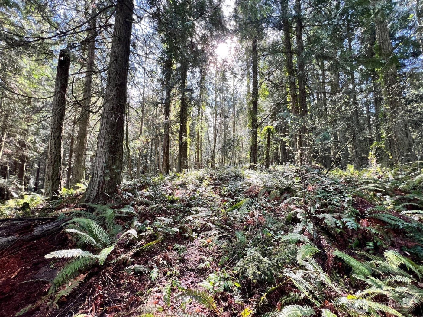 9999 S Sequim Ave Parcel C , Sequim, WA 98382