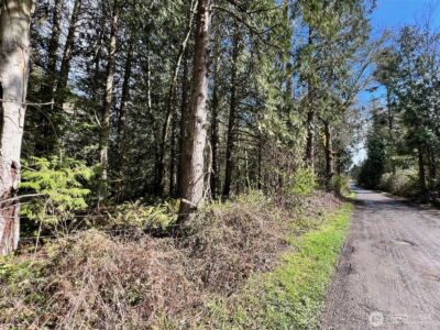 9999 S Sequim Ave Parcel C , Sequim, WA 98382 - Photo 5
