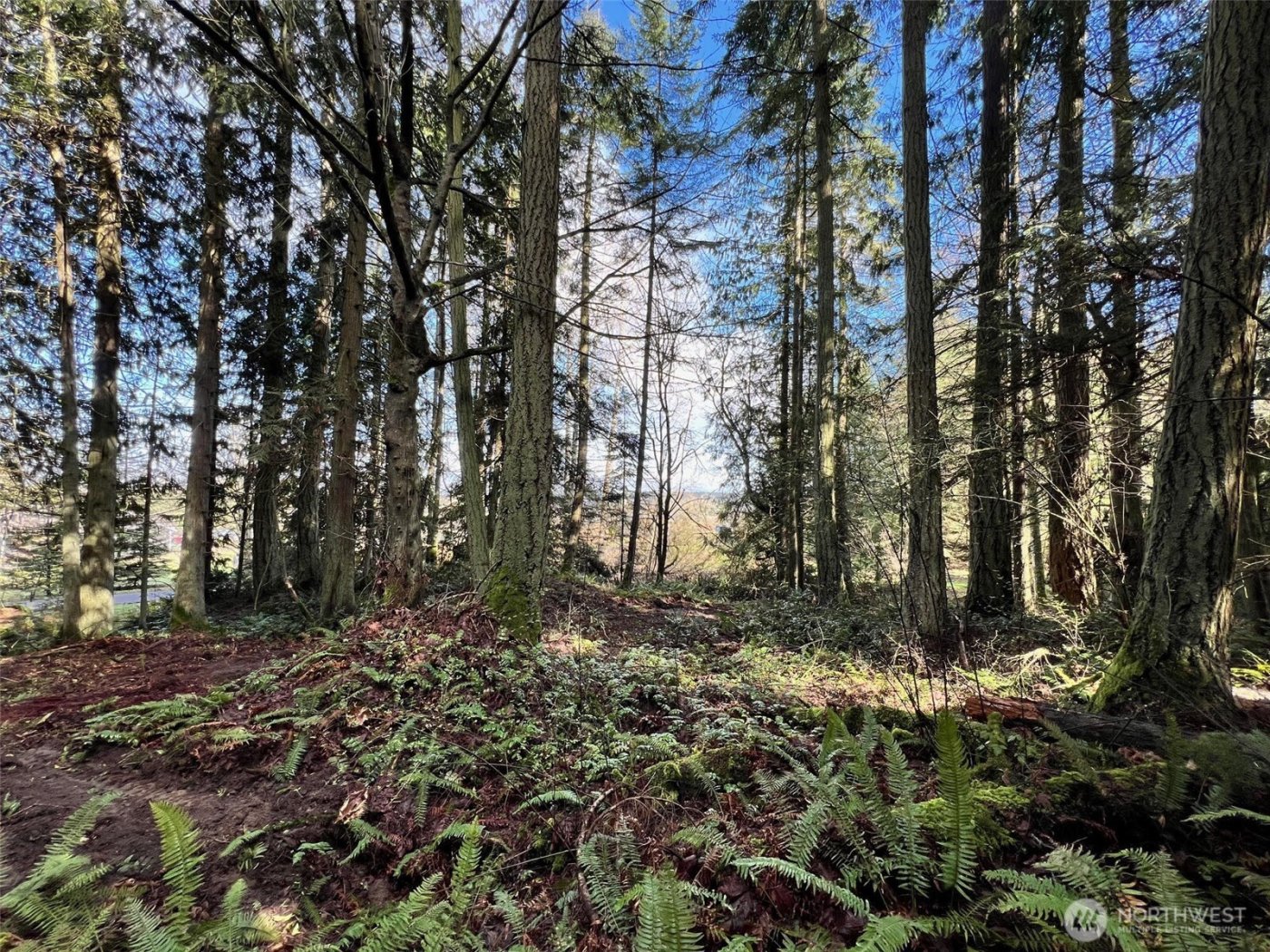 9999 S Sequim Ave Parcel C , Sequim, WA 98382