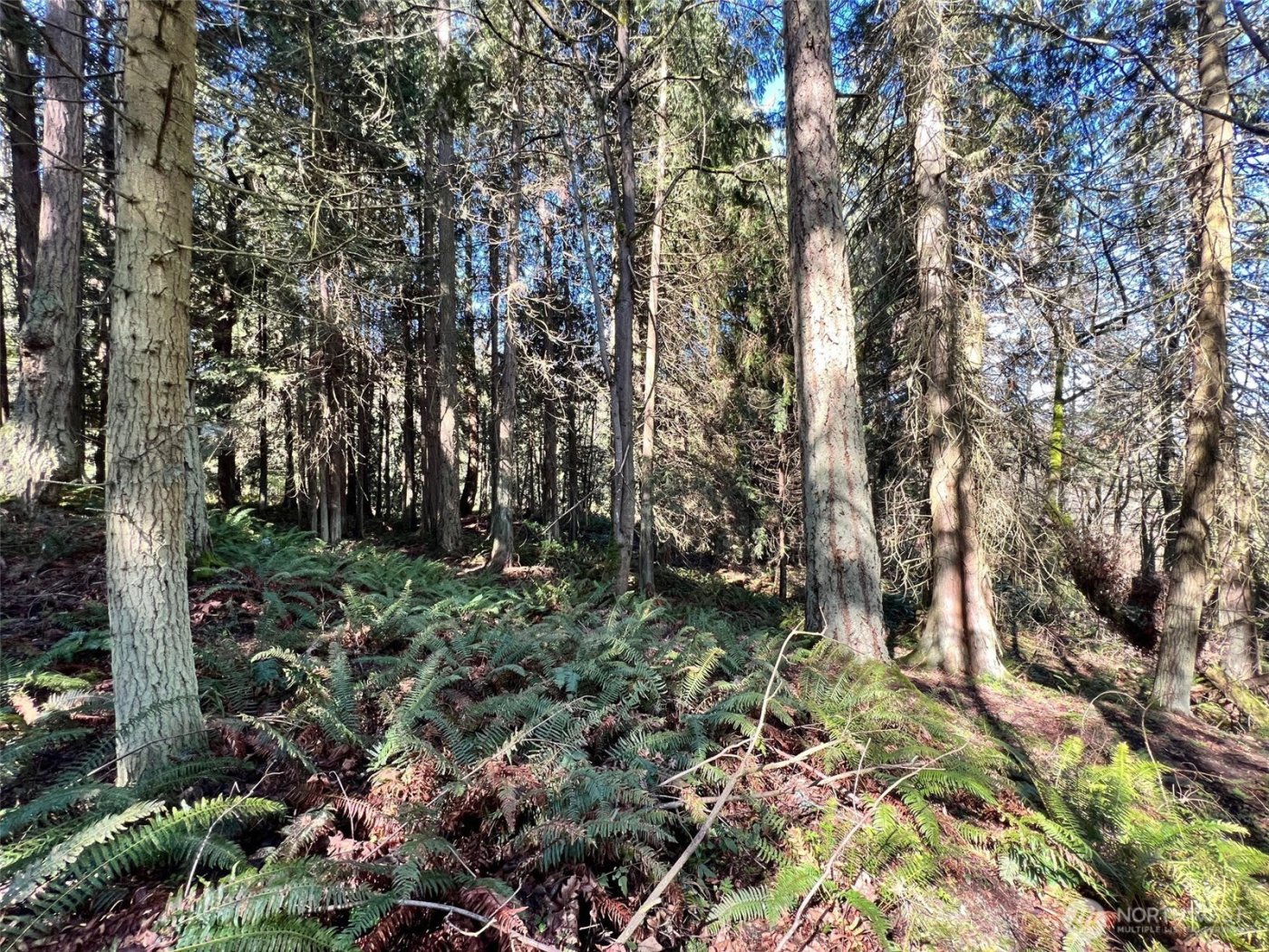 9999 S Sequim Ave Parcel C , Sequim, WA 98382