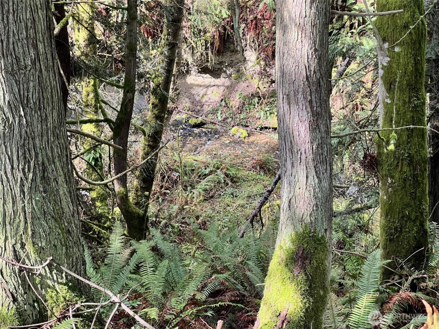 9999 S Sequim Ave Parcel C , Sequim, WA 98382