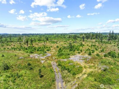 0 Sareault Road , Toledo, WA 98591