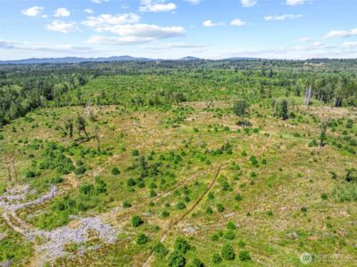 0 Sareault Road , Toledo, WA 98591 - Photo 3