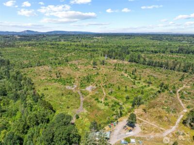 0 Sareault Road , Toledo, WA 98591 - Photo 5