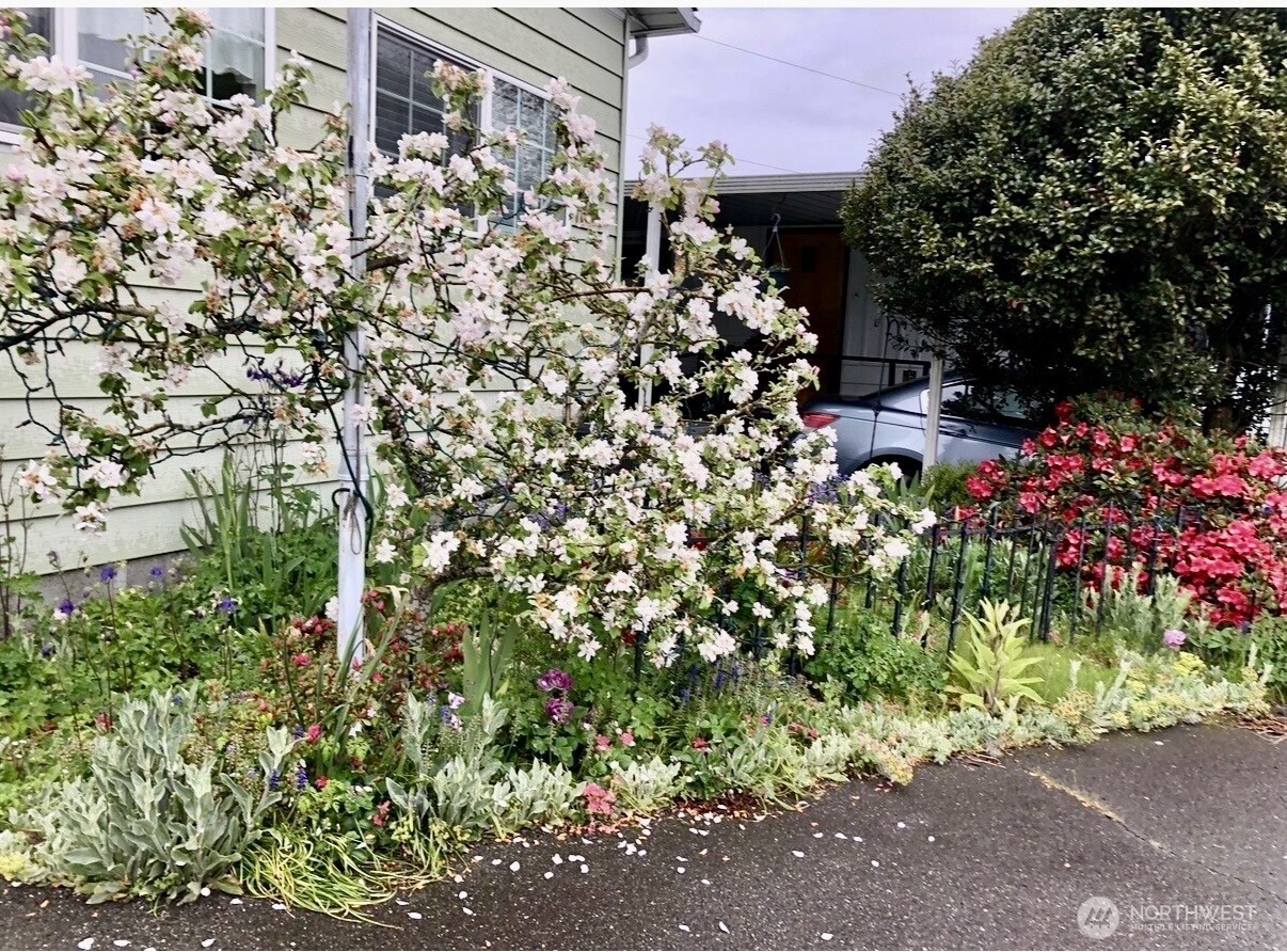 18501 52nd Avenue #6, Lynnwood, WA 98037