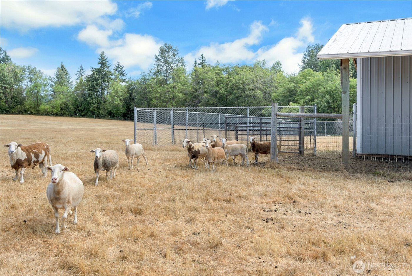 119 Sommerville Road , Chehalis, WA 98532