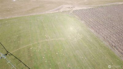 16002 Road 28 SW, Mattawa, WA 99349 - Photo 29