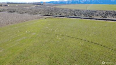 16002 Road 28 SW, Mattawa, WA 99349 - Photo 30