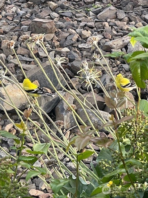 2312 Canyon Hills Drive , East Wenatchee, WA 98802