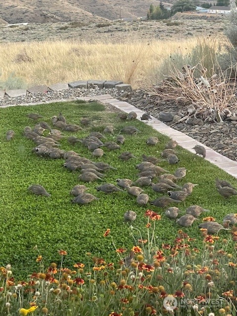 2312 Canyon Hills Drive , East Wenatchee, WA 98802