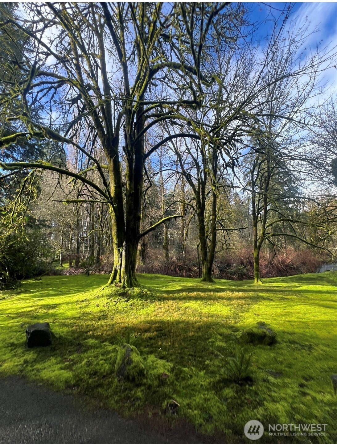 6817 79th Street W, Lakewood, WA 98499