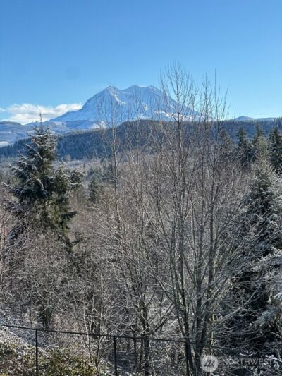 655 Joy Street , Eatonville, WA 98328 - Photo 39