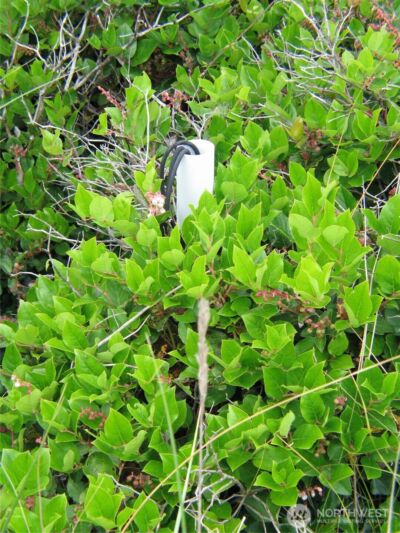 32307 H Place , Ocean Park, WA 98640 - Photo 4