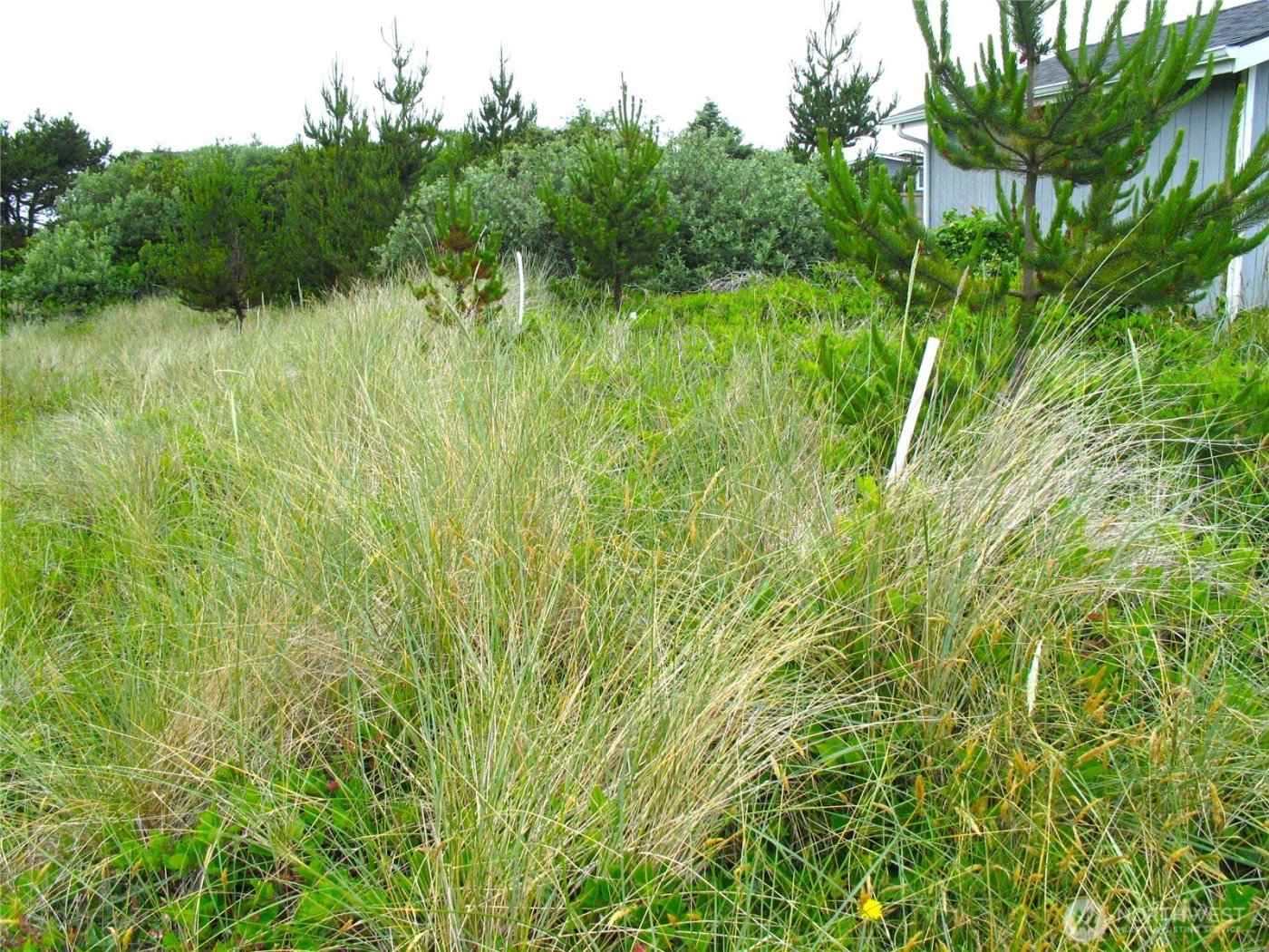 32307 H Place , Ocean Park, WA 98640