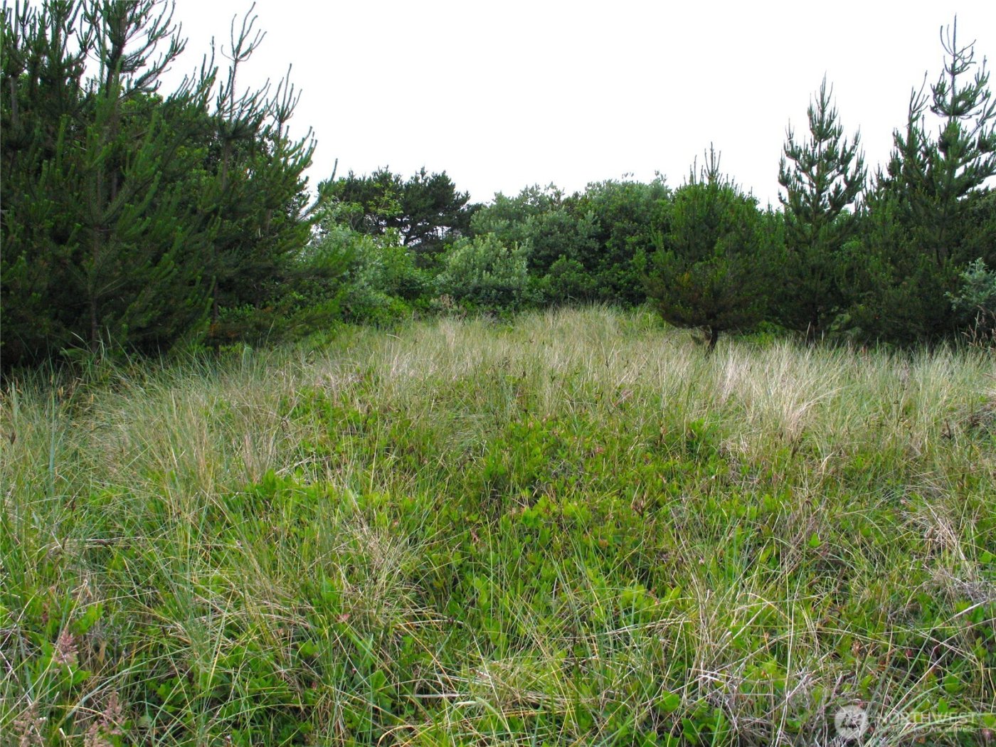 32307 H Place , Ocean Park, WA 98640