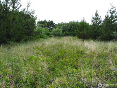 32307 H Place , Ocean Park, WA 98640 - Photo 6