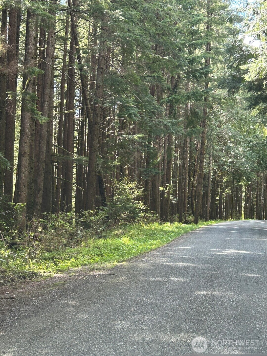 0 Lot 15 W Shore Drive , Lake Cavanaugh, WA 98274