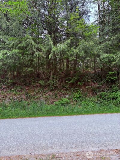 0 Lot 15 W Shore Drive , Lake Cavanaugh, WA 98274 - Photo 13