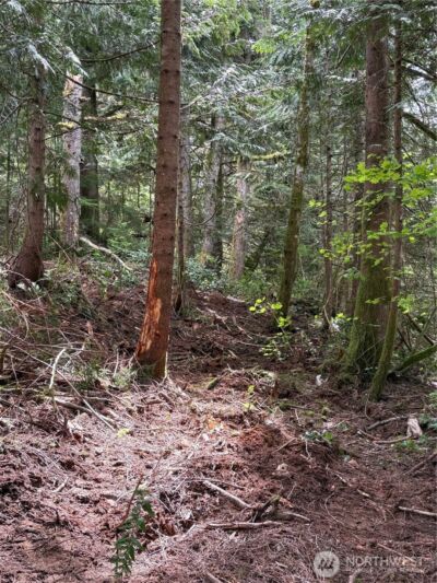 0 Lot 15 W Shore Drive , Lake Cavanaugh, WA 98274 - Photo 3