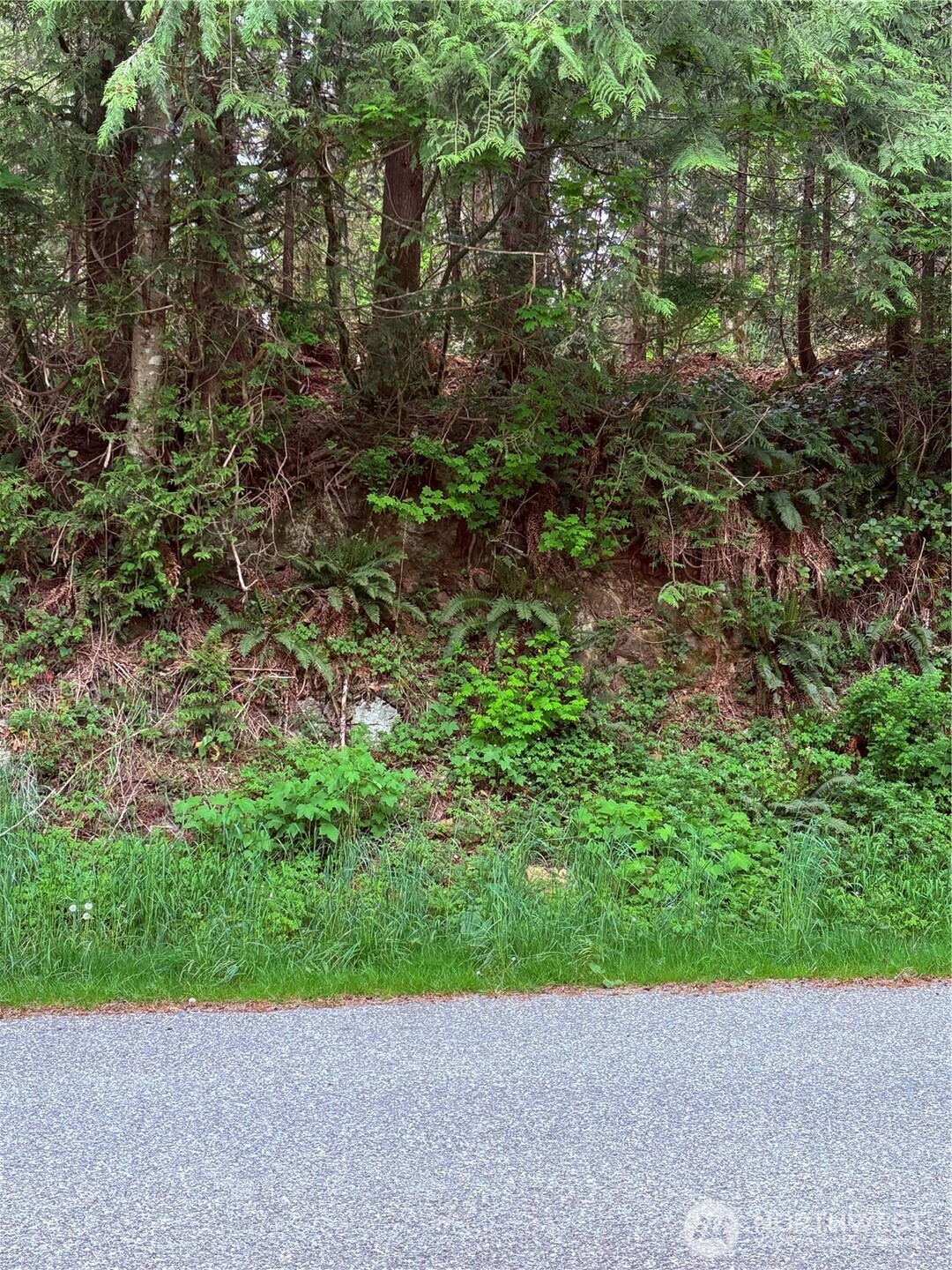 0 Lot 15 W Shore Drive , Lake Cavanaugh, WA 98274