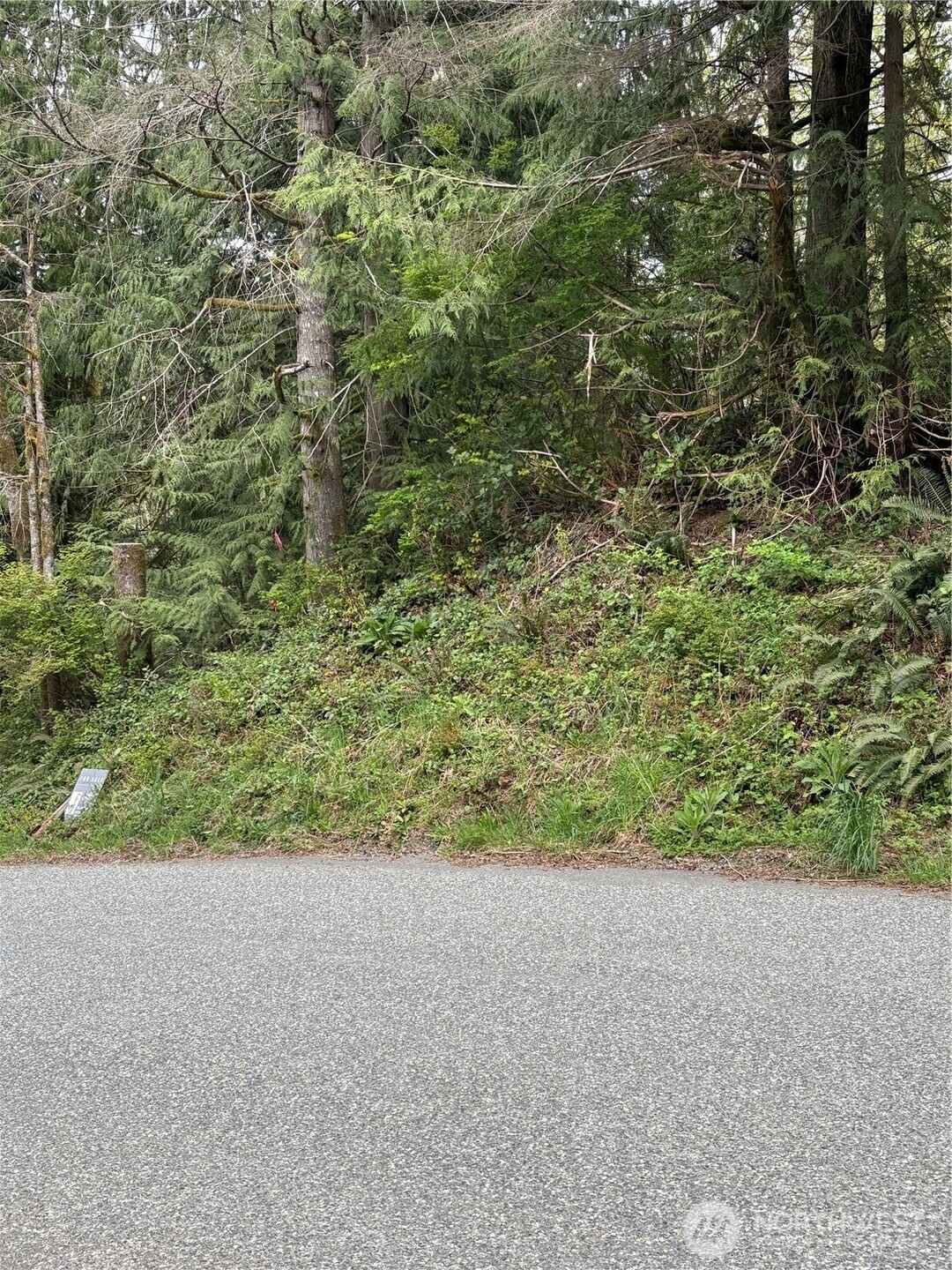 0 Lot 15 W Shore Drive , Lake Cavanaugh, WA 98274