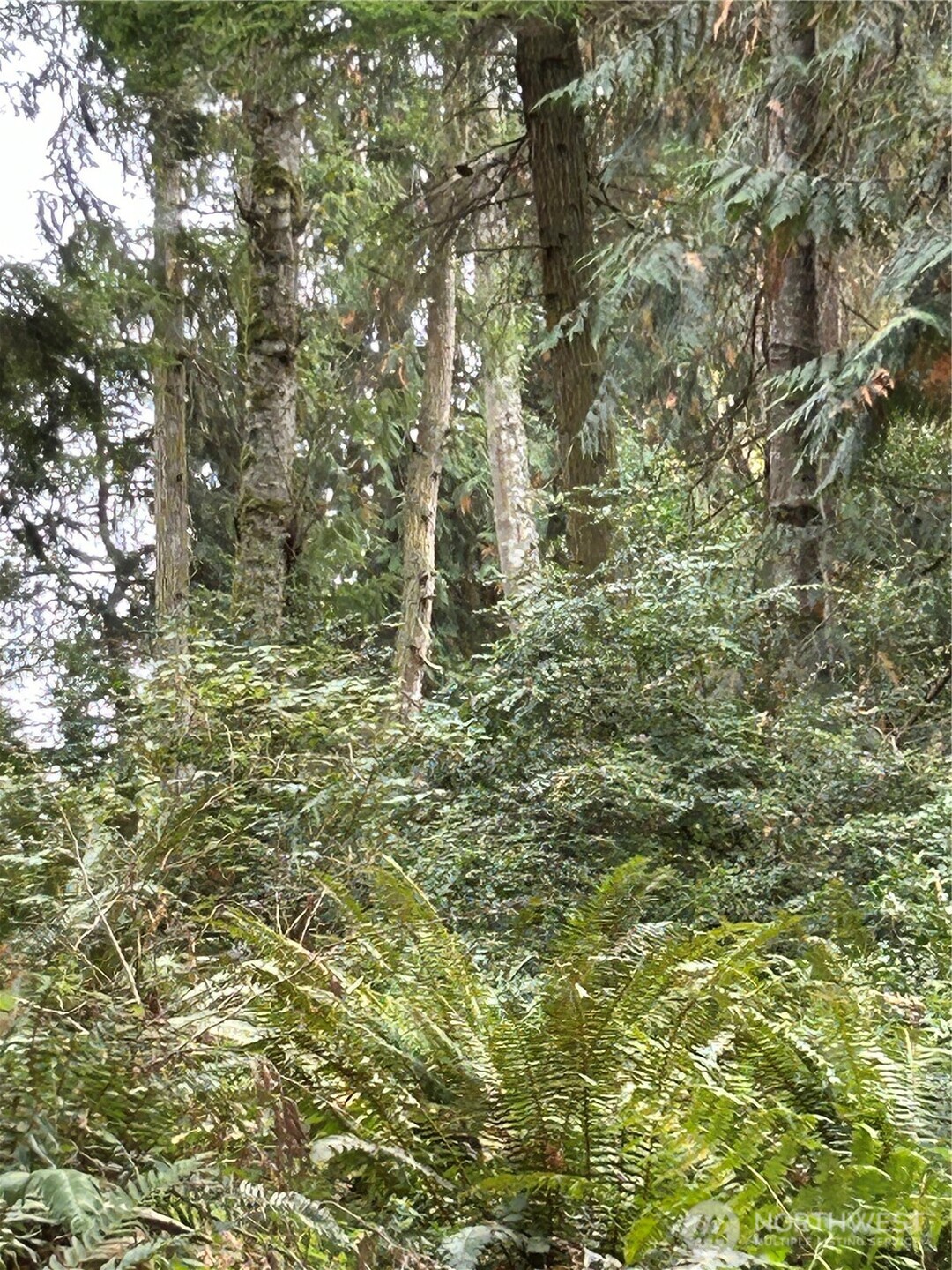 0 Lot 15 W Shore Drive , Lake Cavanaugh, WA 98274
