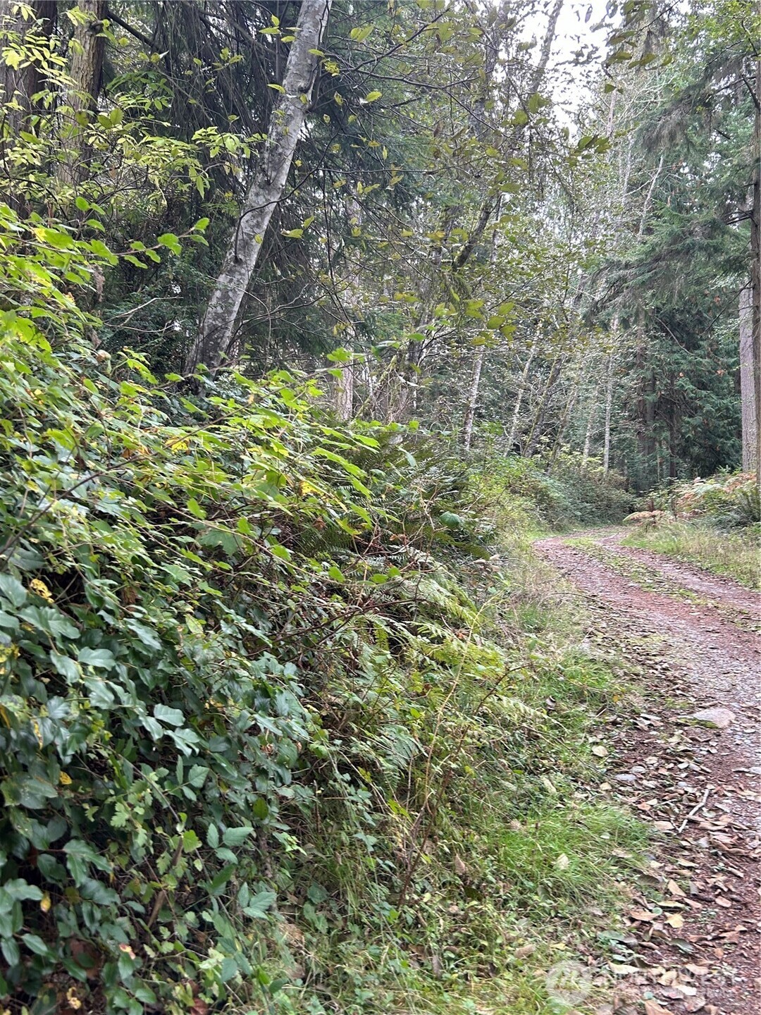0 Lot 15 W Shore Drive , Lake Cavanaugh, WA 98274