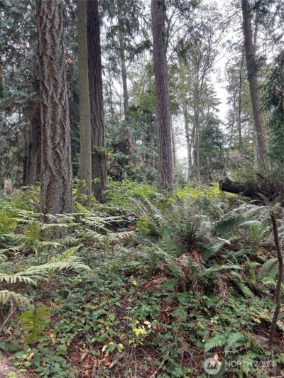 0 Lot 15 W Shore Drive , Lake Cavanaugh, WA 98274 - Photo 9