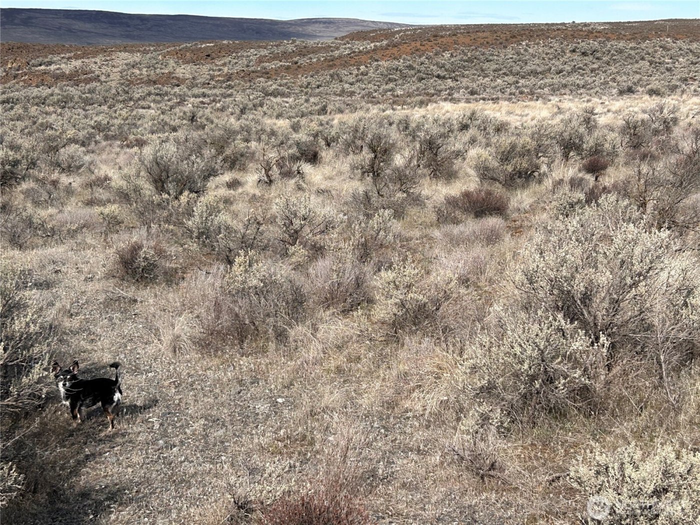 9634 Tumbleweed Way , Ephrata, WA 98823