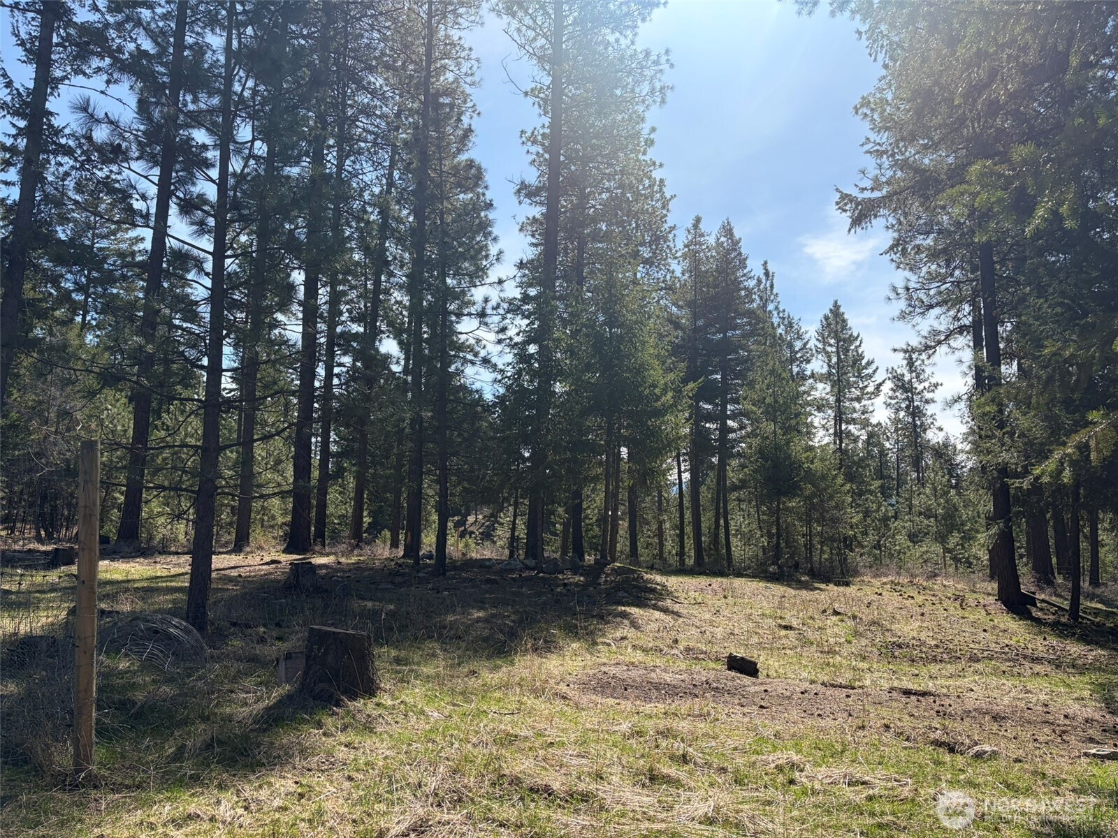 13 Rope and Saddle Lane , Tonasket, WA 98855