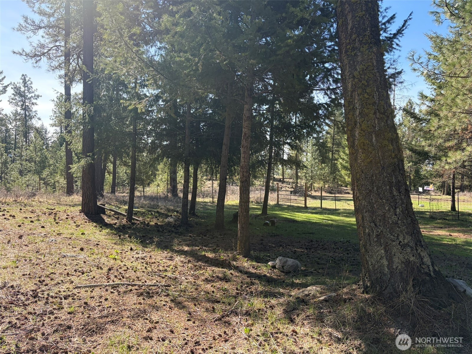 13 Rope and Saddle Lane , Tonasket, WA 98855